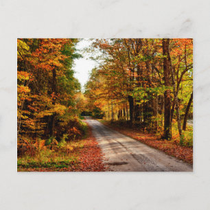 Carte Postale Sentier boisé avec feuillage d'automne
