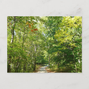 Carte Postale Sentier boisé du centenaire à Ellicott City Nature