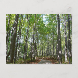 Carte Postale Sentier boisé du centenaire II Ellicott City Maryl