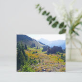 Carte Postale Sentier de Hurricane Ridge (Debout devant)