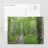 Carte Postale Sentier de planches Jesup Path (Devant / Derrière)