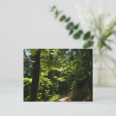 Carte Postale Sentier depuis Silver Falls (Debout devant)