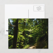 Carte Postale Sentier depuis Silver Falls (Devant / Derrière)