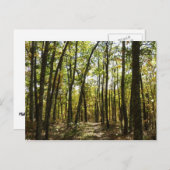 Carte Postale Sentier des Appalaches en octobre à Shenandoah (Devant / Derrière)