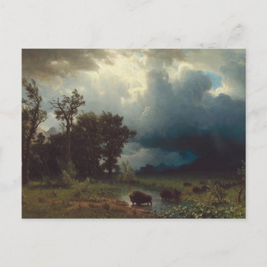 Carte Postale Sentier des bisons : La tempête imminente (Devant)