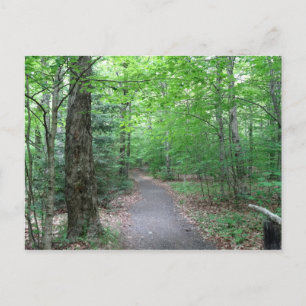 Carte Postale Sentier du Lonesome Lake dans le New Hampshire