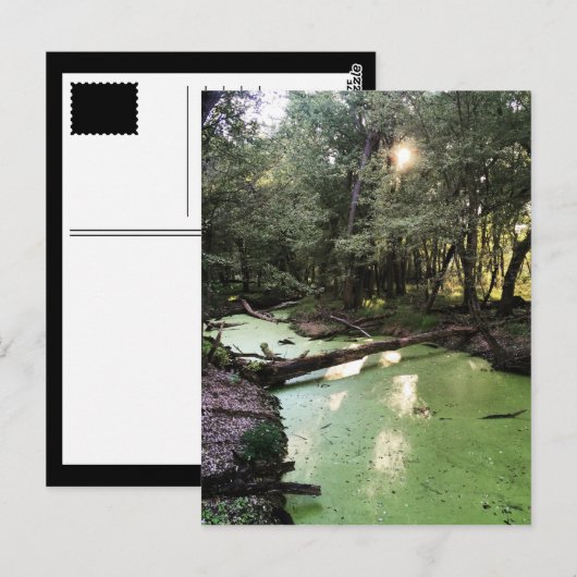 Carte Postale sentier du point de sable (Devant / Derrière)