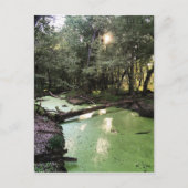 Carte Postale sentier du point de sable (Devant)