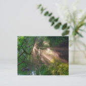 Carte Postale sentier forestier (Debout devant)