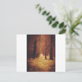 Carte Postale Sentier forestier... (Debout devant)