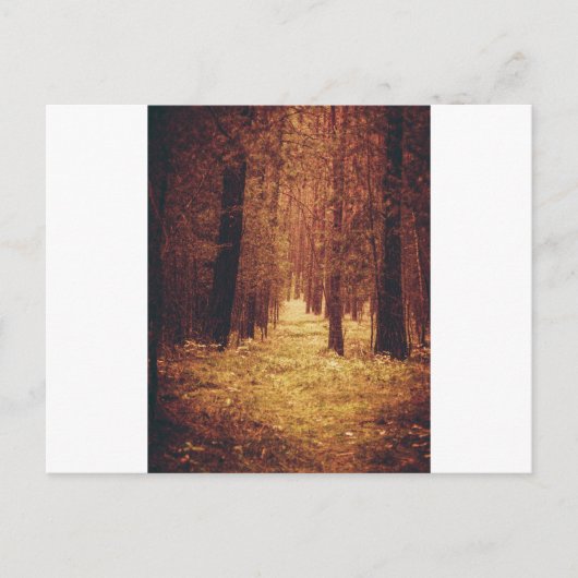 Carte Postale Sentier forestier... (Devant)