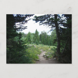 Carte Postale Sentier Grand Teton
