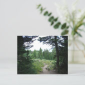 Carte Postale Sentier Grand Teton (Debout devant)