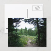 Carte Postale Sentier Grand Teton (Devant / Derrière)