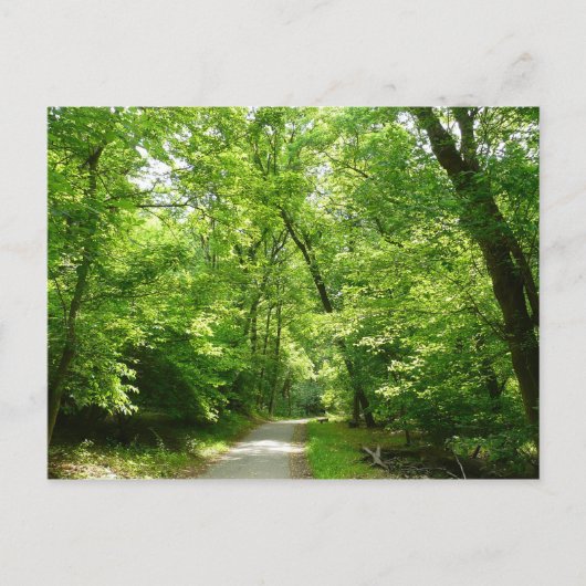 Carte Postale Sentier Grist Mill I (Devant)