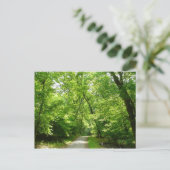 Carte Postale Sentier Grist Mill I (Debout devant)