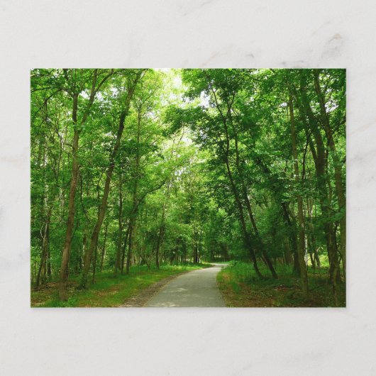 Carte Postale Sentier Grist Mill II (Devant)