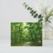 Carte Postale Sentier Grist Mill II (Debout devant)