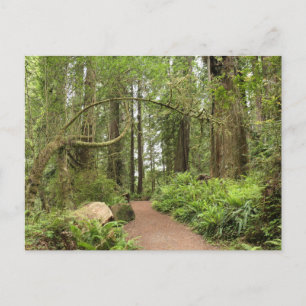 Carte Postale Sentier Karl Knapp