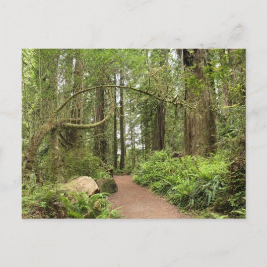Carte Postale Sentier Karl Knapp (Devant)