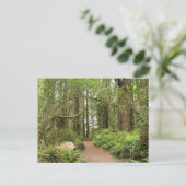 Carte Postale Sentier Karl Knapp (Debout devant)
