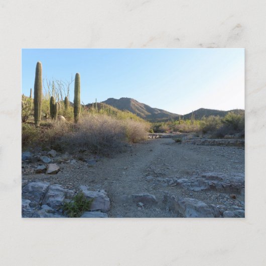 Carte Postale Sentier King Canyon I (Devant)