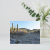 Carte Postale Sentier King Canyon I (Debout devant)