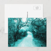 Carte Postale Sentier mystérieux, chemin au clair de lune, Arbre (Devant / Derrière)