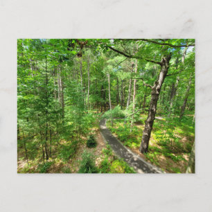 Carte Postale Sentier naturel Midland Michigan