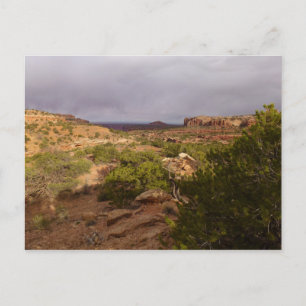 Carte Postale Sentier Neck Springs dans le parc national de Cany
