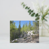 Carte Postale Sentier pour Alberta Falls (Debout devant)