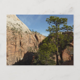 Carte Postale Sentier pour Angels Landing dans le parc national