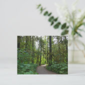Carte Postale Sentier pour Marymere Falls I (Debout devant)