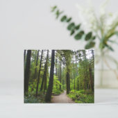 Carte Postale Sentier pour Marymere Falls II (Debout devant)