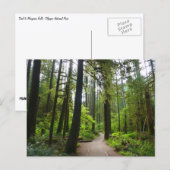 Carte Postale Sentier pour Marymere Falls II (Devant / Derrière)