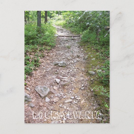 Carte Postale sentier rocksylvanie appalachienne chemin rocheux (Devant)