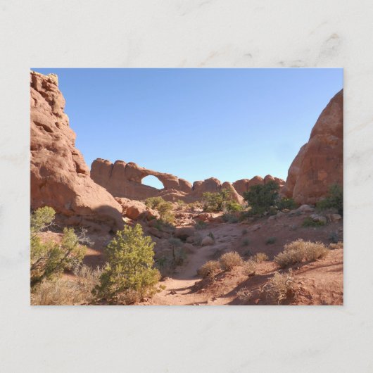 Carte Postale Sentier vers Skyline Arch (Devant)