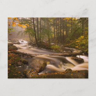 Carte Postale Sentiers coulants sur le sentier des Appalaches   