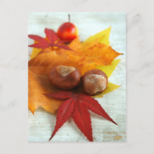 Carte Postale Sentiments d'automne