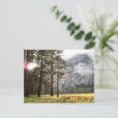 Carte Postale Sentinel Meadow (Debout devant)