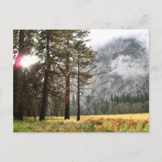 Carte Postale Sentinel Meadow