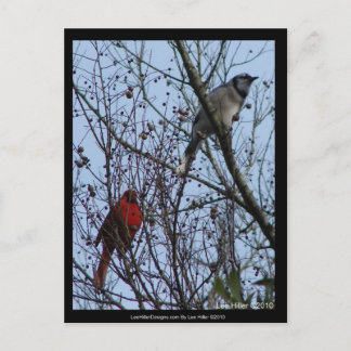 Carte Postale Sentinelles Geai bleu et Cardinal par Lee Hiller