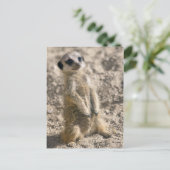 Carte postale Sentry-in-Training (Debout devant)