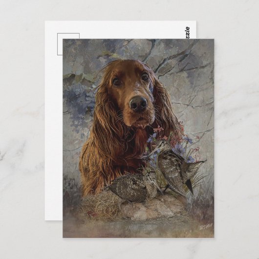 Carte Postale Séparateur irlandais avec bécasse (Devant / Derrière)