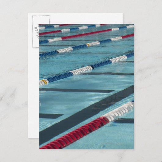 Carte Postale Séparateurs en plastique dans une piscine création (Devant / Derrière)