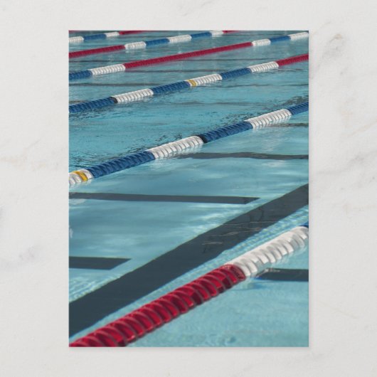 Carte Postale Séparateurs en plastique dans une piscine création (Devant)