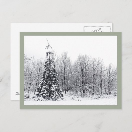 Carte Postale séparation de l'incertitude (Devant / Derrière)