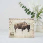 Carte Postale Sépia Bison de Yellowstone avec Oiseau (Debout devant)