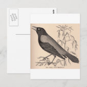 Carte Postale Sepia Crow (Devant / Derrière)