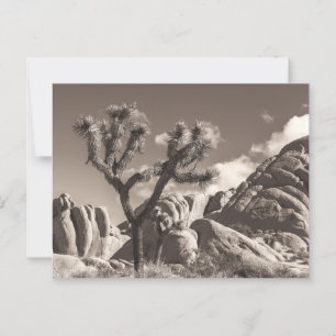 Carte Postale Sepia Joshua Paysage avec rochers